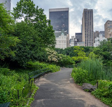 Central Park 'ın kıyısındaki Plaza Oteli, New York Şehri, bulutlu bir günde sabahın erken saatlerinde