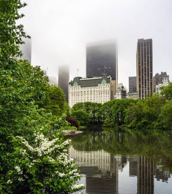 Central Park 'ın kıyısındaki Plaza Oteli, New York