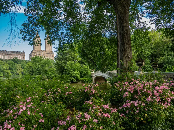 Bow Bridge Central Park New York Morgens Vroeg Vroege Zomer — Stockfoto