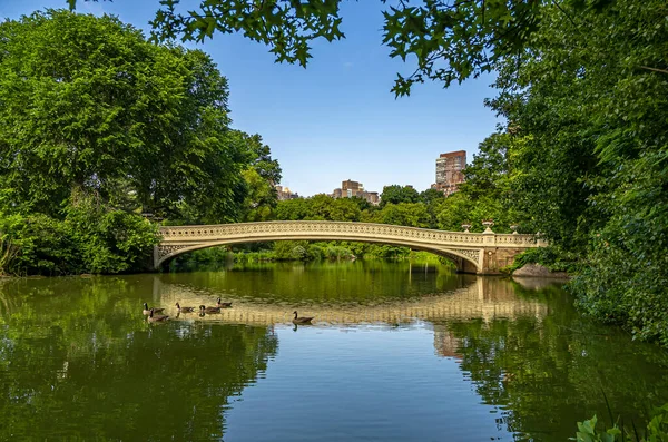 Bow Köprüsü Central Park New York Yazın Başında Sabah — Stok fotoğraf