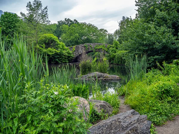 Central Park Taki Gapstow Köprüsü Sisli Yaz Sabahında — Stok fotoğraf