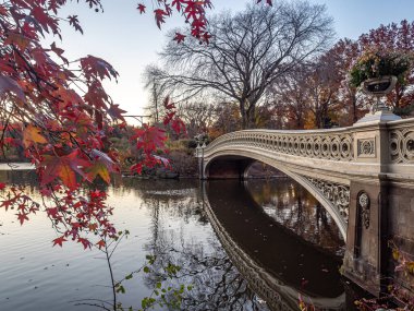 Pruva köprüsü, Central Park, New York, sonbaharın sonlarında sabahın erken saatlerinde