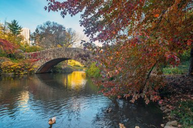 Bow bridge, Central Park, New York City, late autumn early in the morning