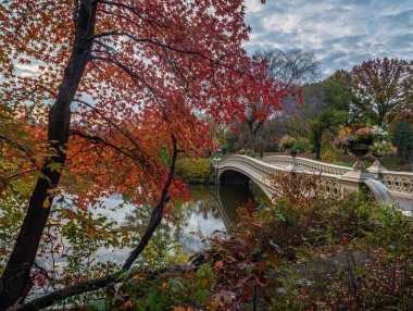 Pruva köprüsü, Central Park, New York, sonbaharın sonlarında sabahın erken saatlerinde