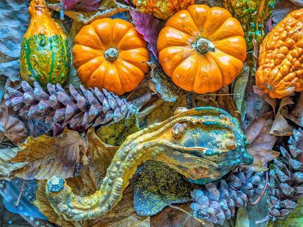 Herbststilleben Mit Kürbissen Und Herbstblättern — Stockfoto