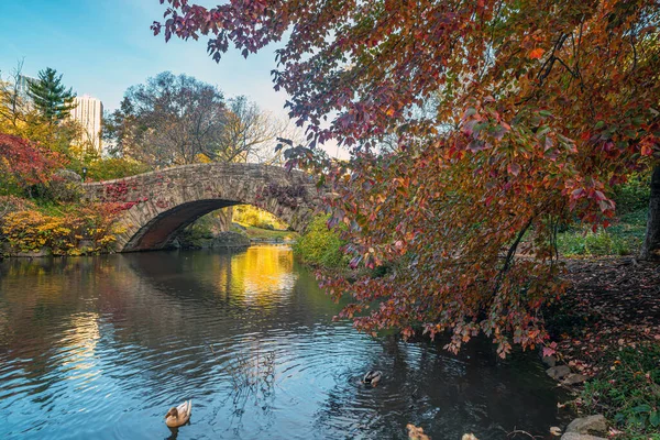 Bow Bridge Central Park New York City Late Autumn Early — 图库照片