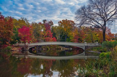 Bow bridge, Central Park, New York City in late autumn, early morning