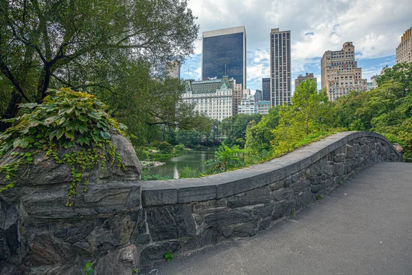 Bågbro Central Park New York City — Stockfoto