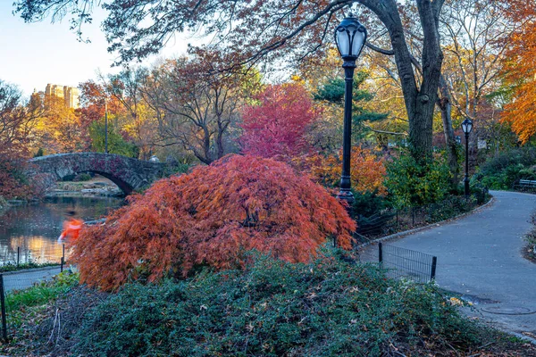 Sonbaharın Sonlarında Central Park Taki Gapstow Köprüsü — Stok fotoğraf