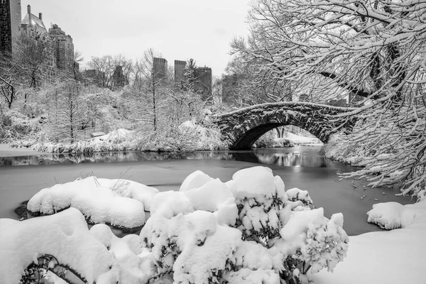 Gapstow Bridge Central Park Winter Snow Storm — Stock Photo, Image