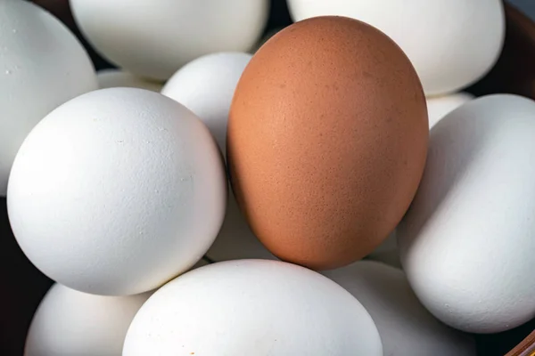 White Brown Eggs Basket Closeup Macro — Φωτογραφία Αρχείου