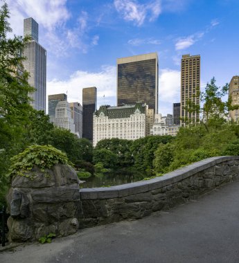 Gapstow Bridge in Central Park  in early August, early morning