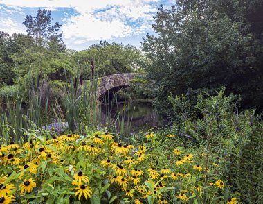 Gapstow Bridge in Central Park  in early August, early morning