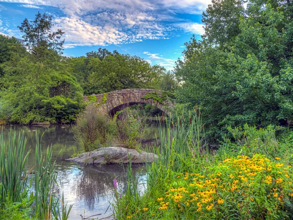 Gapstow Bridge Central Park Early August Early Morning — Stockfoto