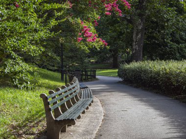 Yazın New York 'ta Central Park