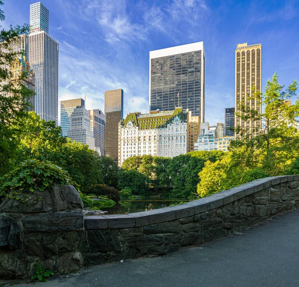 Ponte Gapstow Central Park — Foto Stock