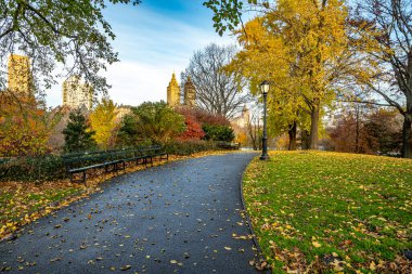 Sonbahar erken sabah Central Park, New York şehrinde