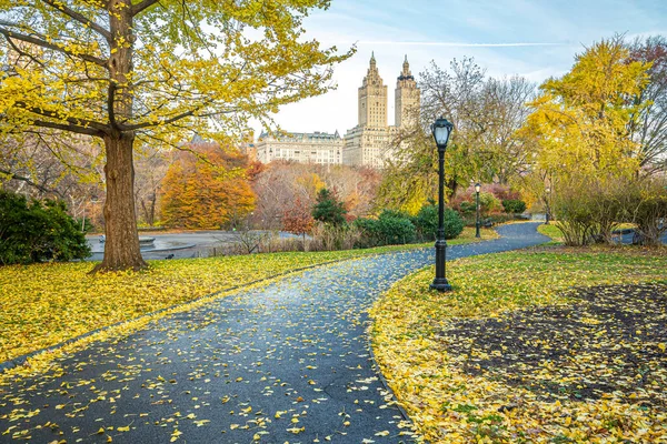 Central Park New York Automne Tôt Matin — Photo