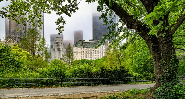 Der Central Park New York City Sommer Einem Bewölkten Morgen — Stockfoto