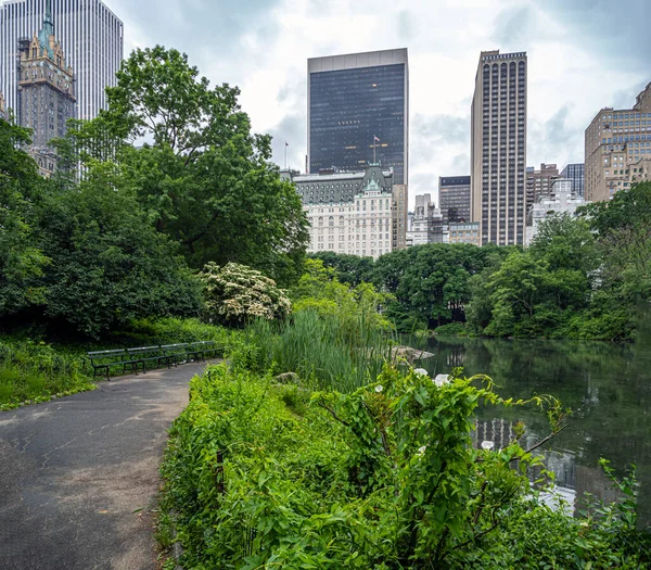 Central Park New York City Sommaren Molnig Morgon — Stockfoto