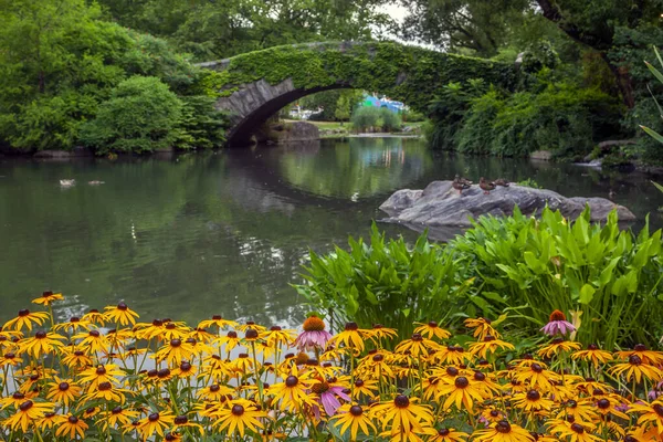 Puente Gapstow Central Park Verano Con Susan Ojos Negros —  Fotos de Stock