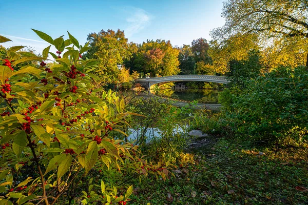 Bow Bridge Central Park New York City — Stockfoto