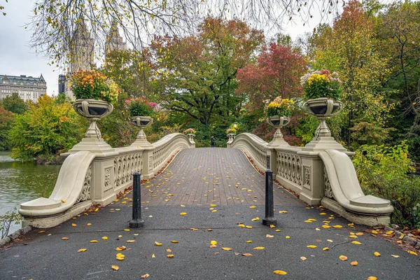 Pruva Köprüsü Central Park New York — Stok fotoğraf
