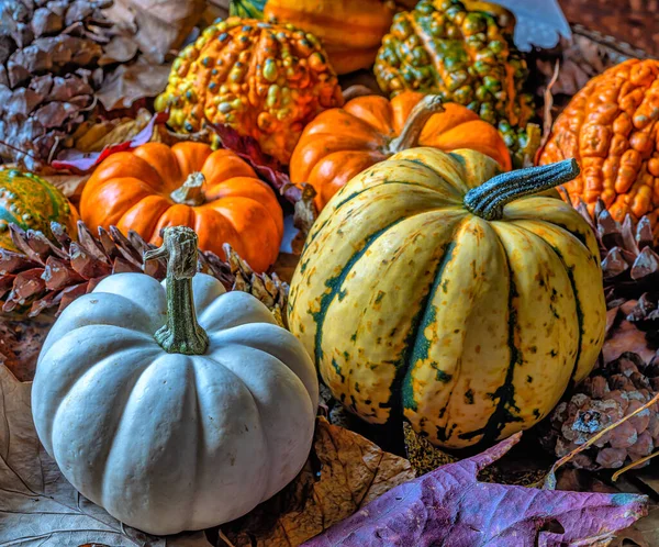 Golosità Comprendono Frutti Alcune Specie Piante Fiore Della Famiglia Delle — Foto Stock