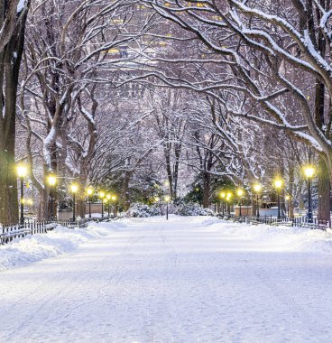 Central Park 'taki alışveriş merkezi, New York.