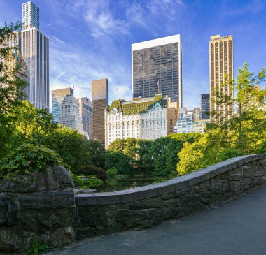 Central Park 'taki Gapstow Köprüsü Yazın erken saatlerinde