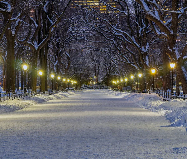 Mall Central Park Nova Iorque — Fotografia de Stock