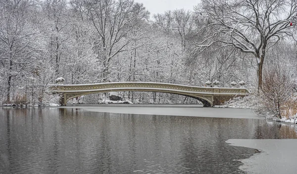 Bow Bridge Central Park New York City Vroege Ochtend Sneeuwstorm — Stockfoto