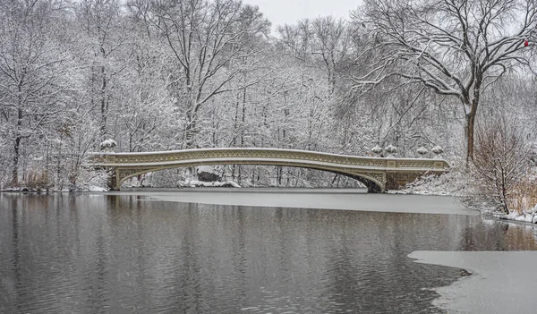 Most Łukowy Central Park Nowy Jork Wcześnie Rano Burzy Śnieżnej — Zdjęcie stockowe