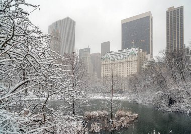 Kışın kar fırtınasından sonra Central Park