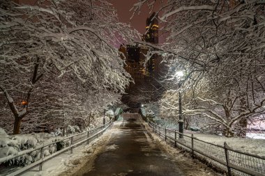 Kışın yağan kar fırtınasından sonra Central Park 'taki Gapstow Köprüsü