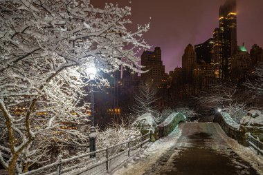 Kışın yağan kar fırtınasından sonra Central Park 'taki Gapstow Köprüsü