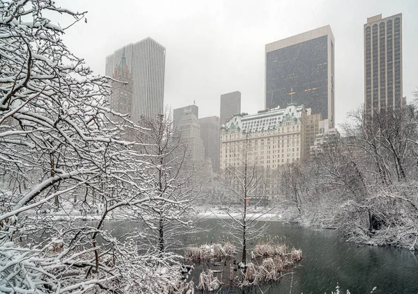 冬の雪嵐の後の冬の中央公園 — ストック写真