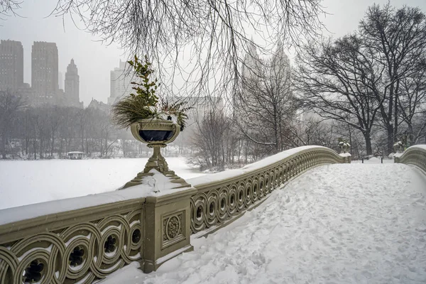 Central Park Zimě Sněhové Bouři Luku Most — Stock fotografie