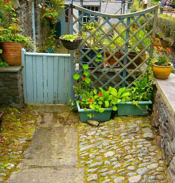 Gate and Trellis — Stock Photo, Image