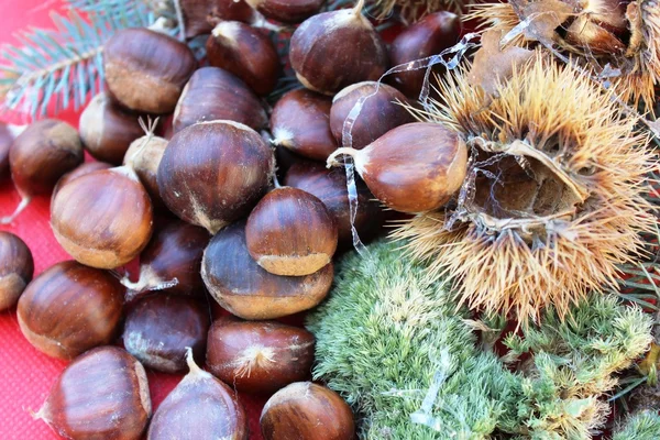 Cacahuetes —  Fotos de Stock