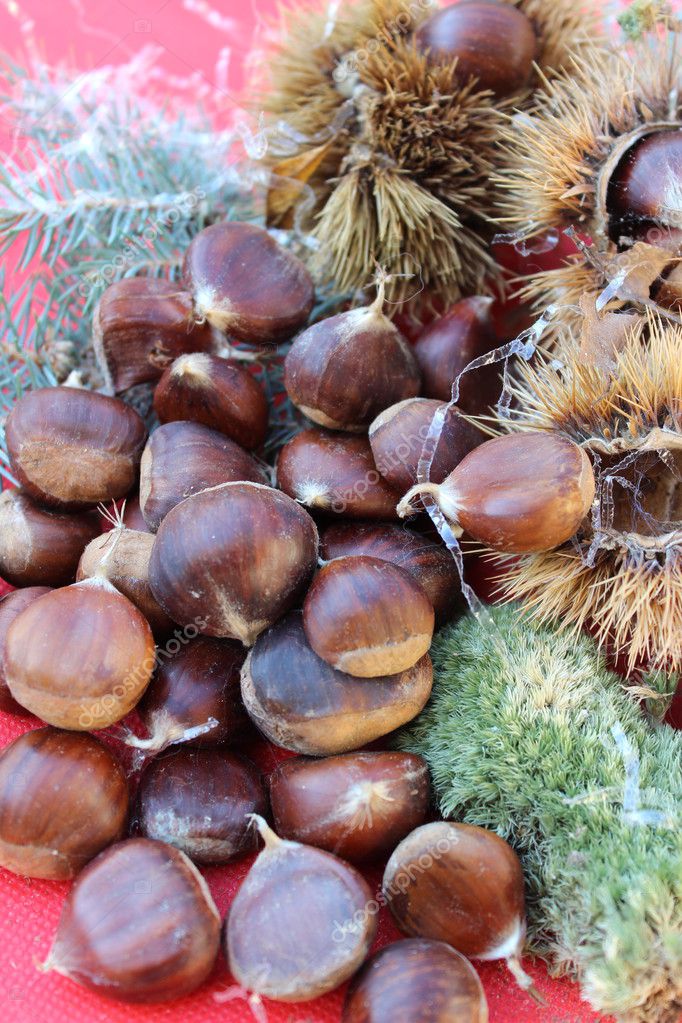 一些棕色的栗子 — 图库照片#14716497