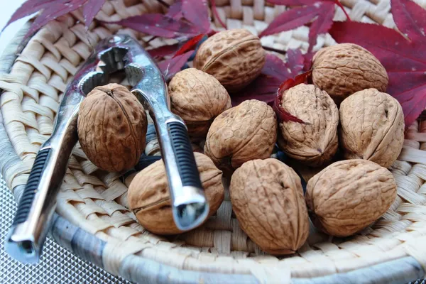 Some Nuts — Stock Photo, Image