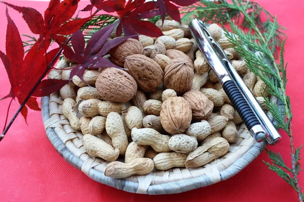 Some Nuts — Stock Photo, Image