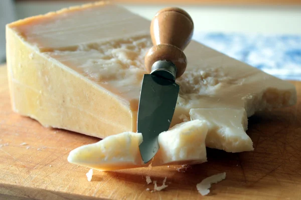 Käse — Stockfoto