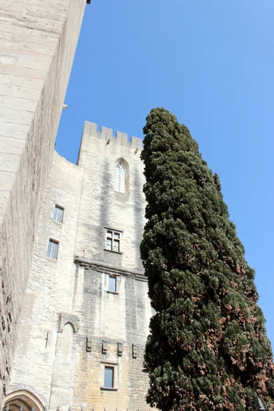 Avignon. — Fotografia de Stock