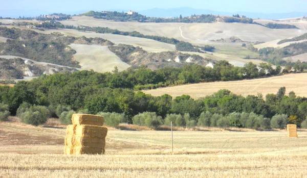 Land — Stock Photo, Image