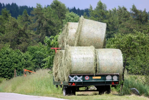 Hay field — Stock Photo, Image