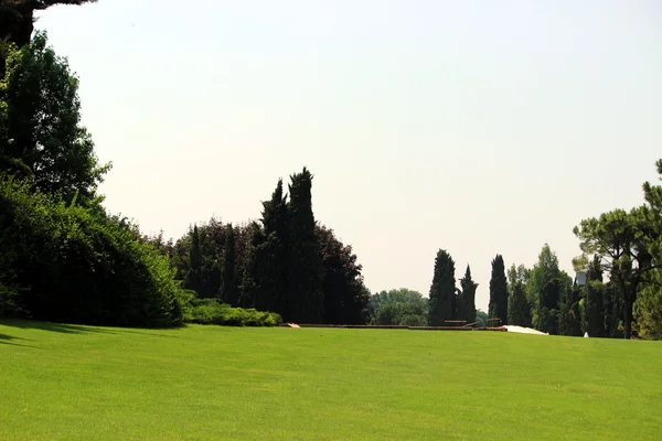 Golf field — Stock Photo, Image