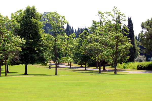 Campo de golf — Foto de Stock