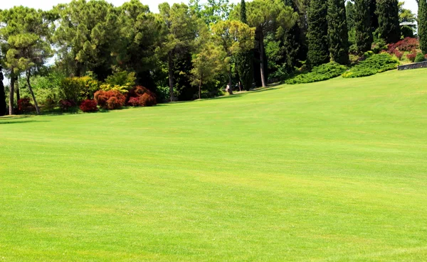 Campo de golf — Foto de Stock